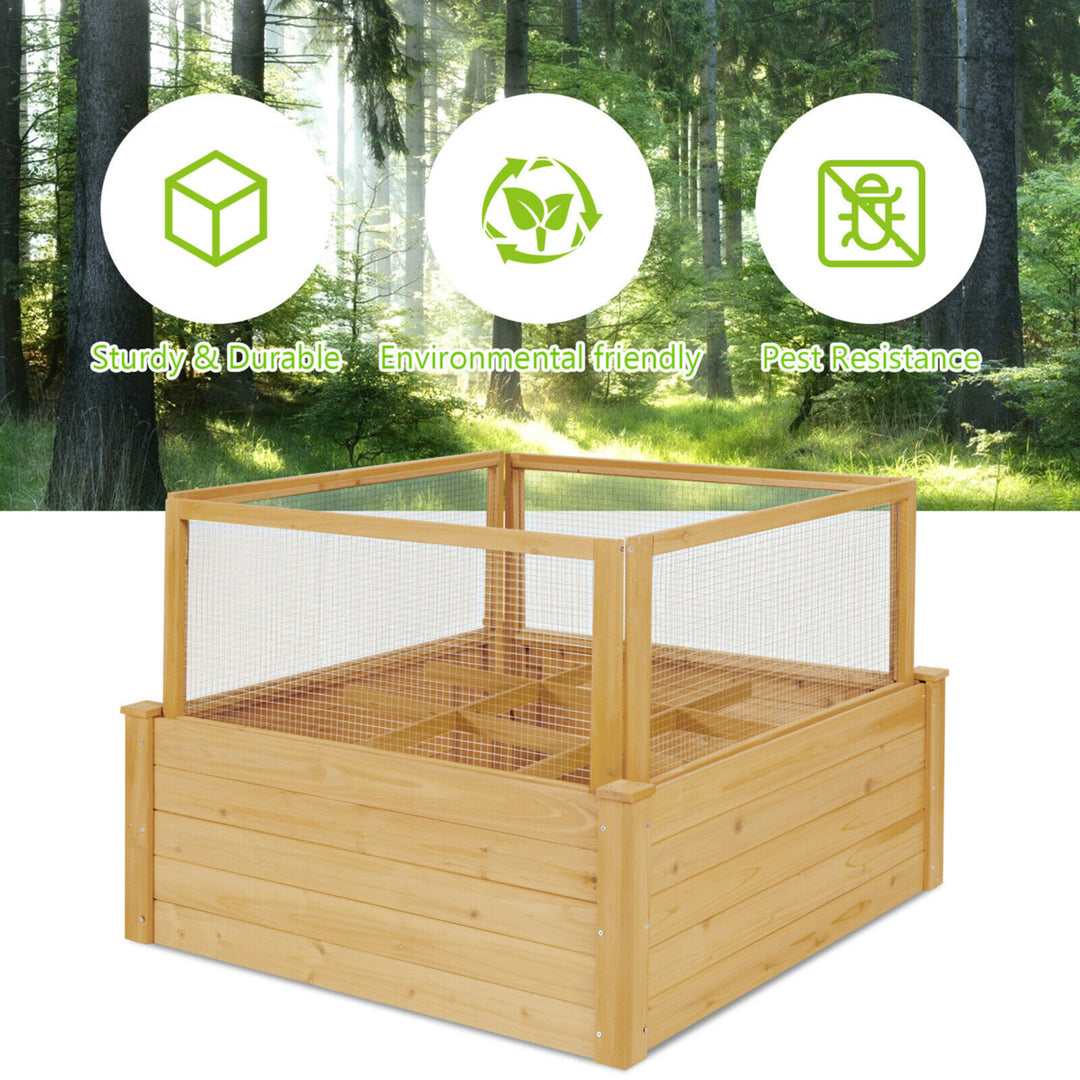 Raised Garden Bed Guard Fence Wooden Garden Box with 9 Grids and Critter Image 4