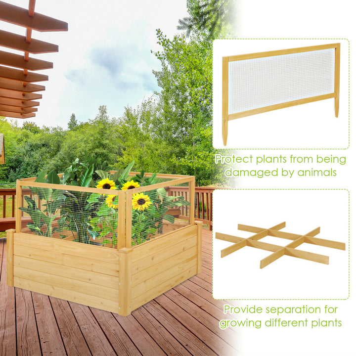 Raised Garden Bed Guard Fence Wooden Garden Box with 9 Grids and Critter Image 8