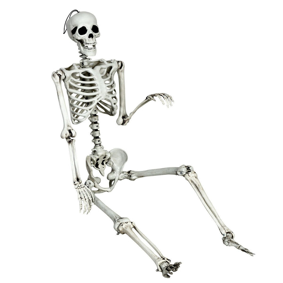 Full Body Halloween Skeleton 5.4ft Life Size w/ Hanging Rope Movable Joints Image 1