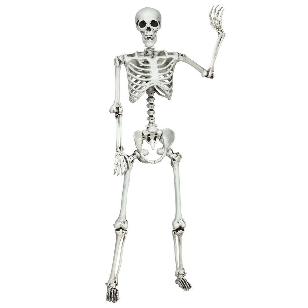 Full Body Halloween Skeleton 5.4ft Life Size w/ Hanging Rope Movable Joints Image 2