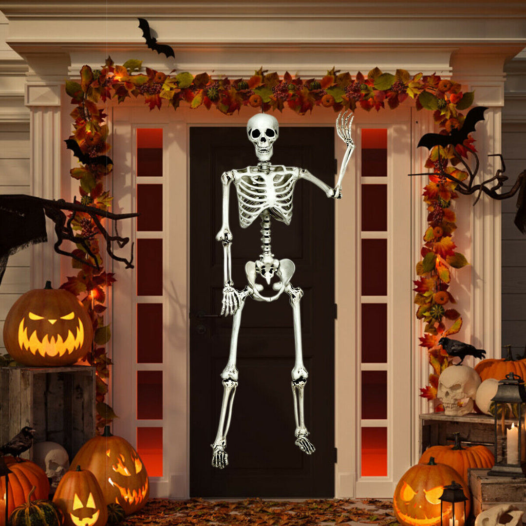 Full Body Halloween Skeleton 5.4ft Life Size w/ Hanging Rope Movable Joints Image 3