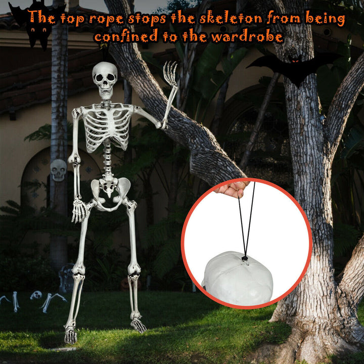 Full Body Halloween Skeleton 5.4ft Life Size w/ Hanging Rope Movable Joints Image 6