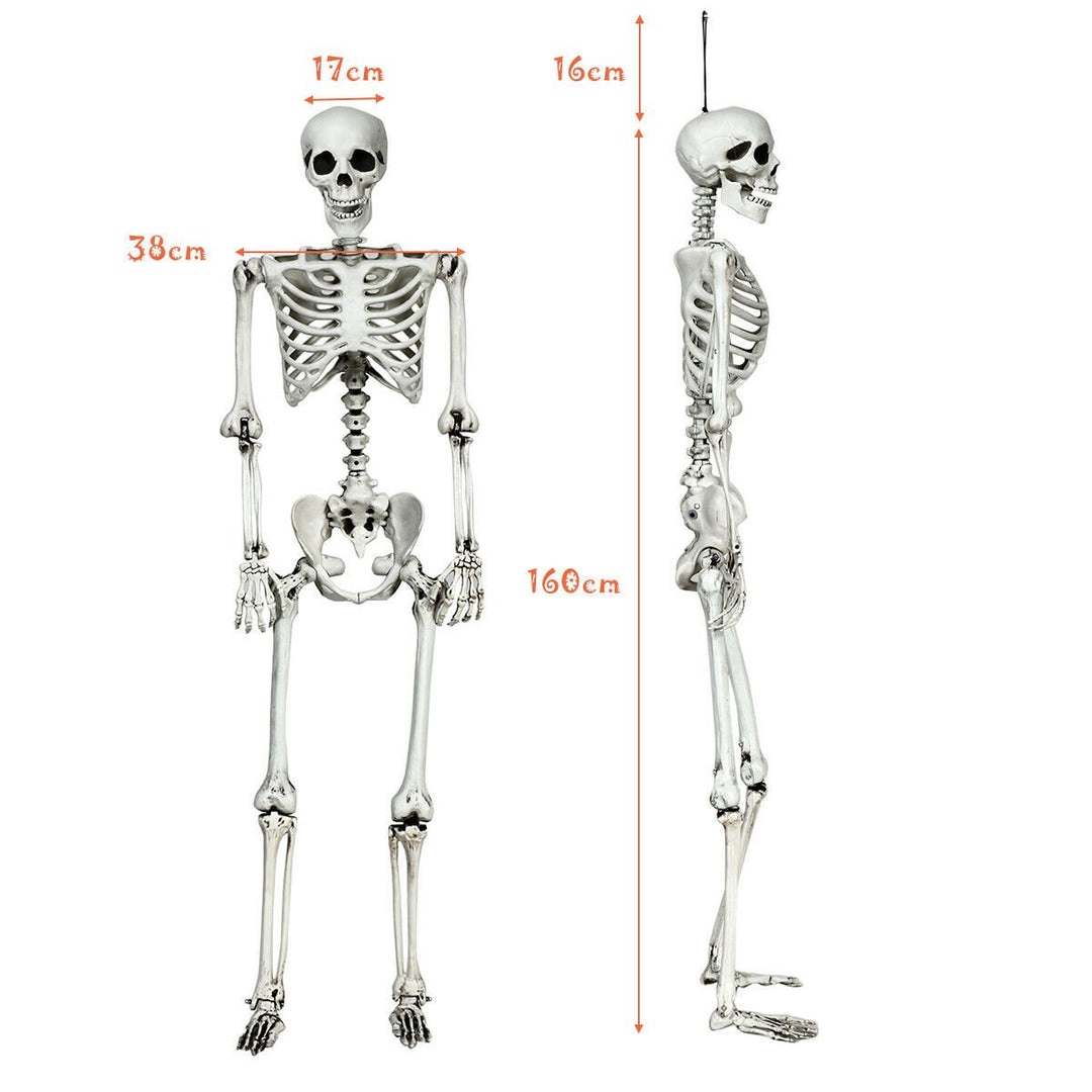 Full Body Halloween Skeleton 5.4ft Life Size w/ Hanging Rope Movable Joints Image 10