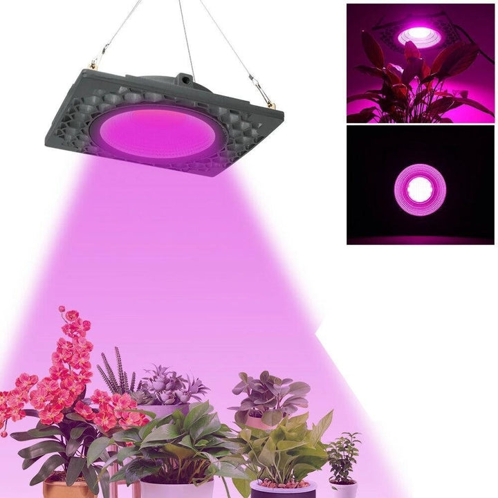 1000W Full Spectrum LED Grow Veg Seed Light for Greenhouse Plant 110V,220V Image 1