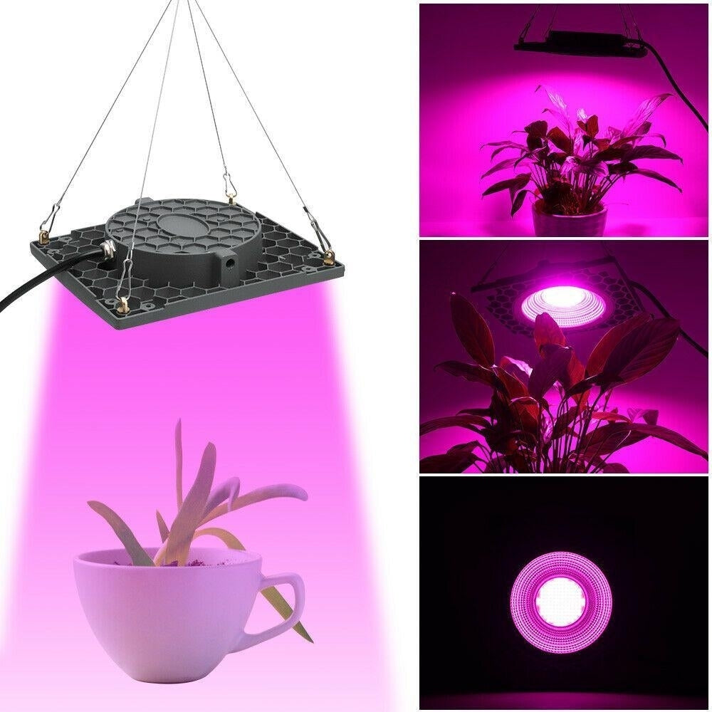 1000W Full Spectrum LED Grow Veg Seed Light for Greenhouse Plant 110V,220V Image 2