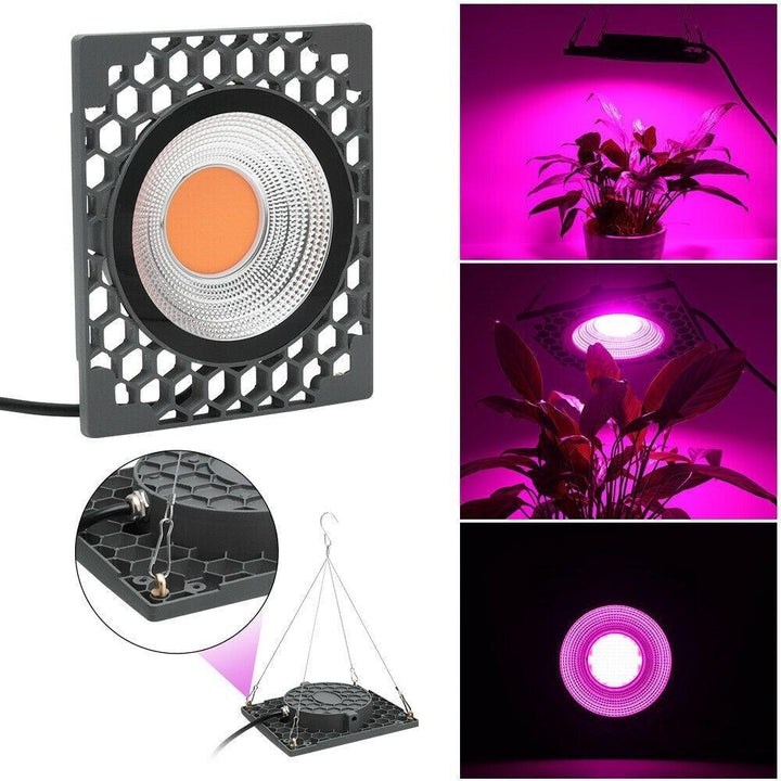 1000W Full Spectrum LED Grow Veg Seed Light for Greenhouse Plant 110V,220V Image 3