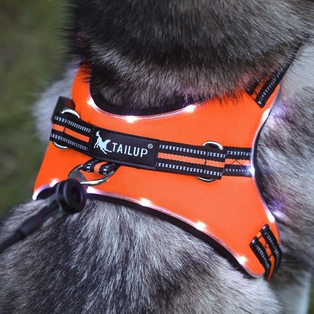 Dog Harness LED Reflective Dog Vest, Breathable Mesh Fabric Safety Chest Vest Image 11