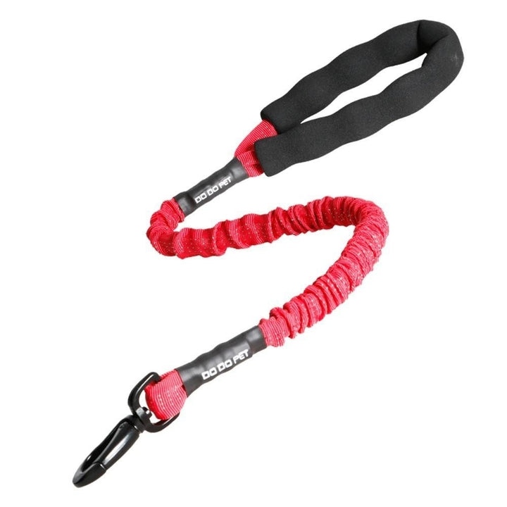 Dog Pet Bungee Leash Image 1