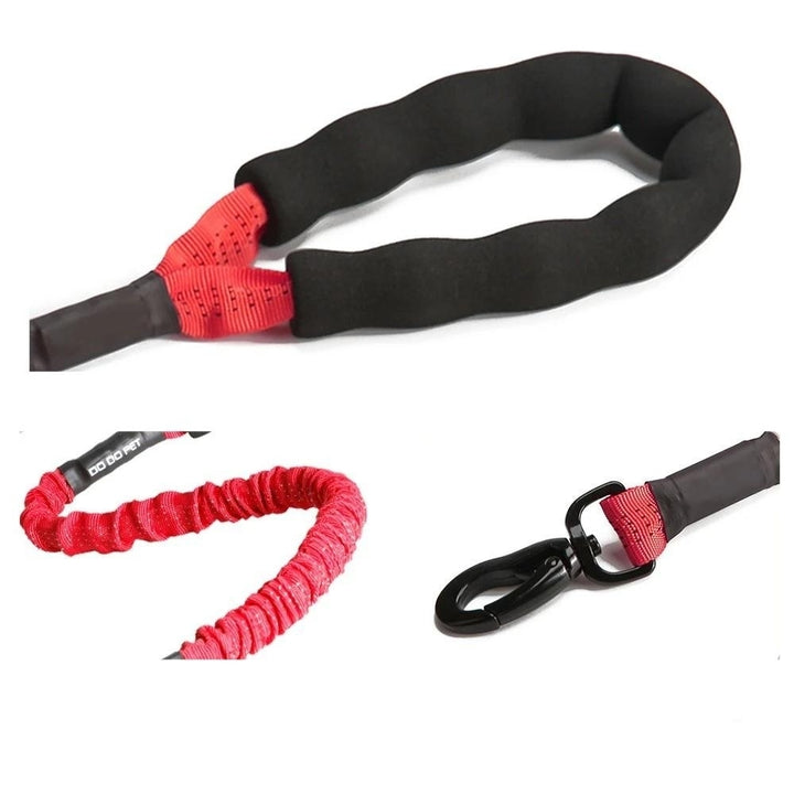 Dog Pet Bungee Leash Image 2