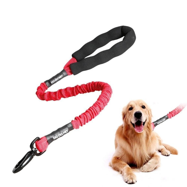 Dog Pet Bungee Leash Image 3