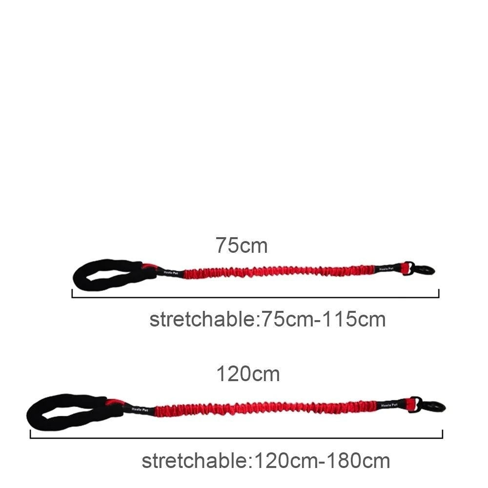 Dog Pet Bungee Leash Image 4