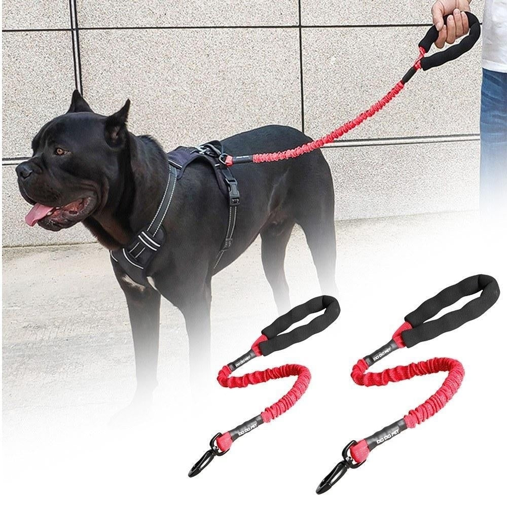 Dog Pet Bungee Leash Image 5