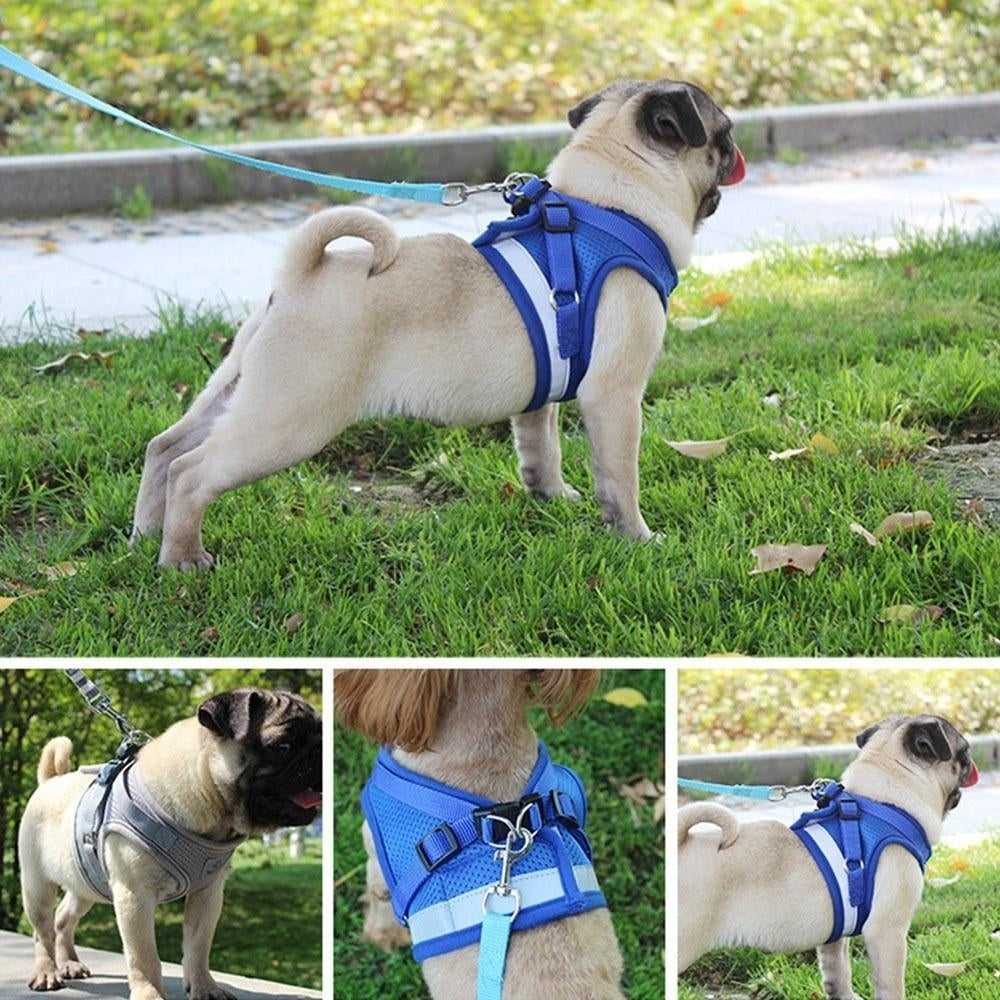 Dog Harness No-Pull Pet Harness Step-in Air Dog Harness, Soft Mesh Reflective Image 9