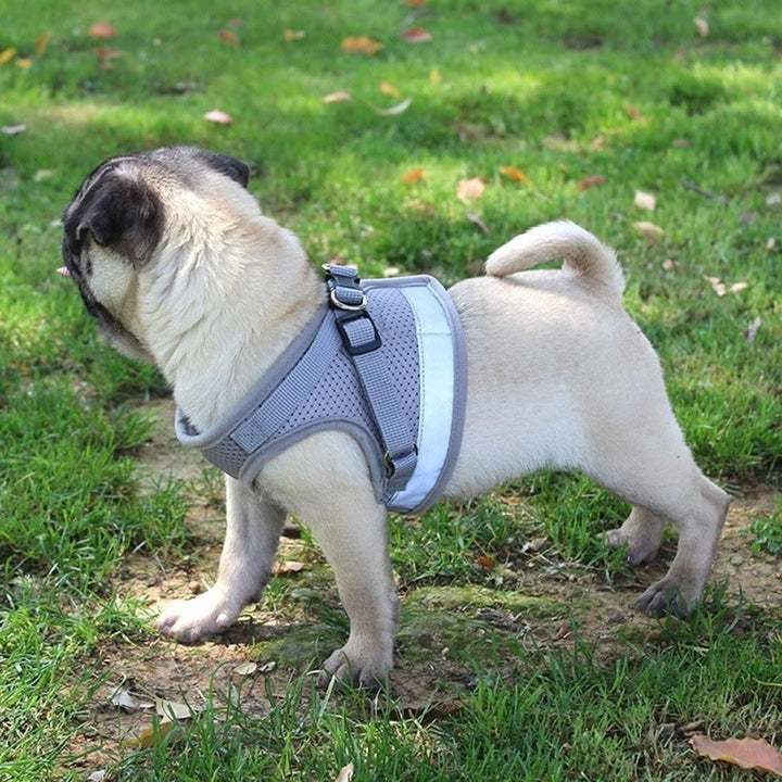 Dog Harness No-Pull Pet Harness Step-in Air Dog Harness, Soft Mesh Reflective Image 11