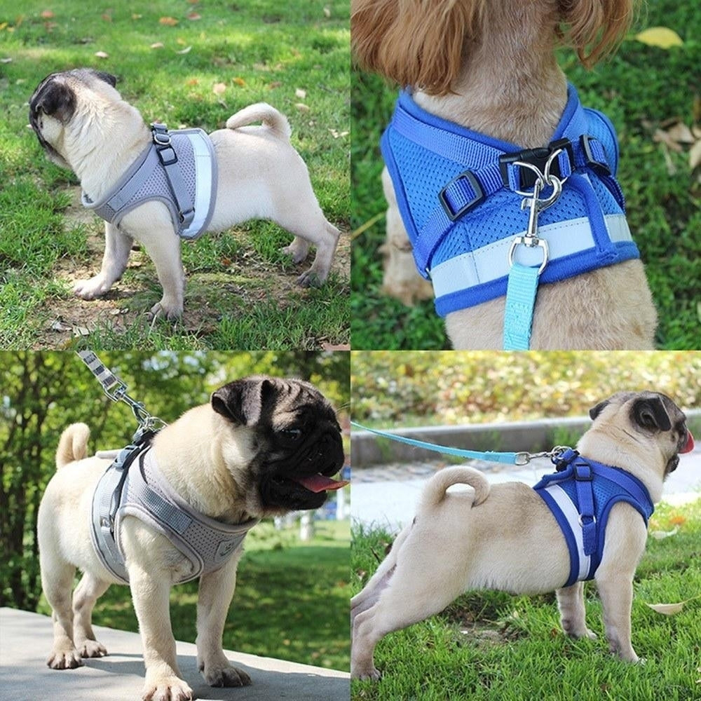 Dog Harness No-Pull Pet Harness Step-in Air Dog Harness, Soft Mesh Reflective Image 12