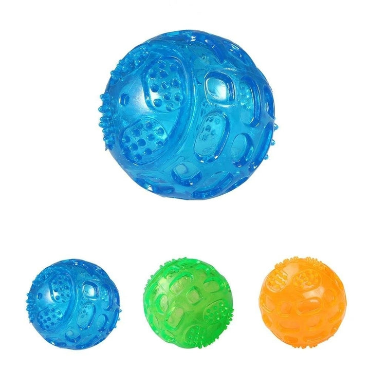 Durable Squeak Ball Dog Toy Balls Funny Dog Toys for Dogs Puppies Teething Chew,DTTT Image 1