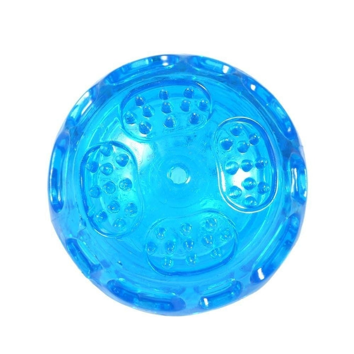 Durable Squeak Ball Dog Toy Balls Funny Dog Toys for Dogs Puppies Teething Chew,DTTT Image 3