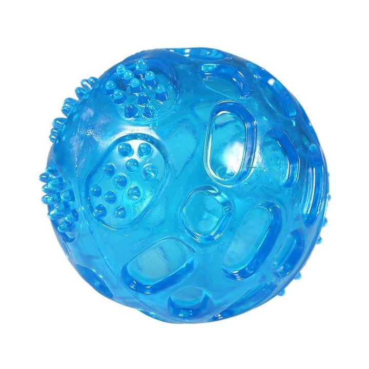 Durable Squeak Ball Dog Toy Balls Funny Dog Toys for Dogs Puppies Teething Chew,DTTT Image 4