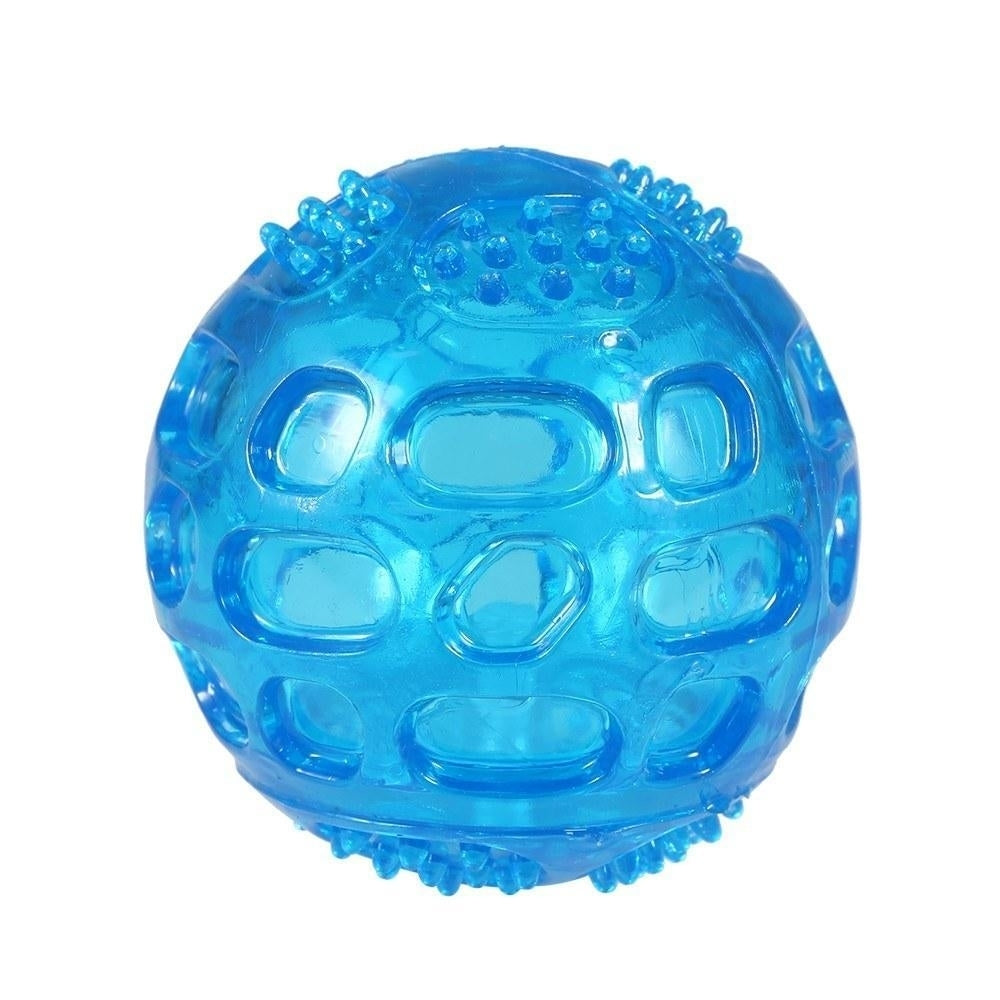 Durable Squeak Ball Dog Toy Balls Funny Dog Toys for Dogs Puppies Teething Chew,DTTT Image 5