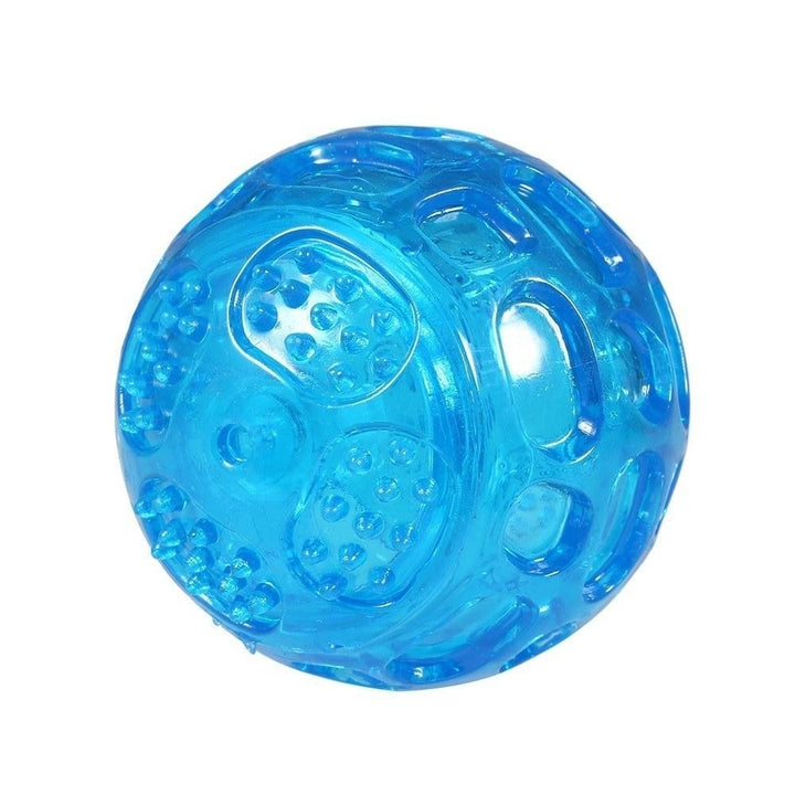 Durable Squeak Ball Dog Toy Balls Funny Dog Toys for Dogs Puppies Teething Chew,DTTT Image 7