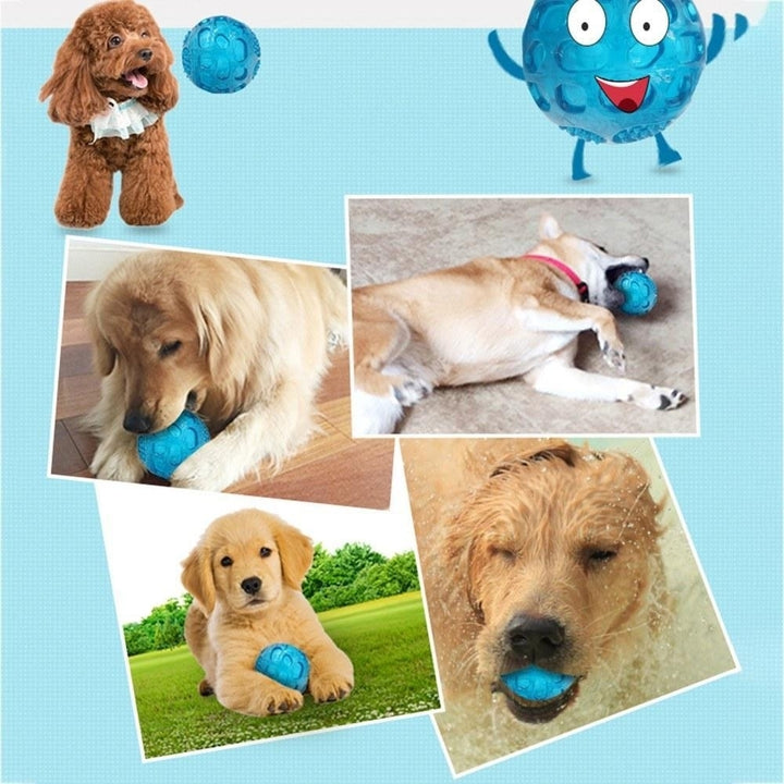 Durable Squeak Ball Dog Toy Balls Funny Dog Toys for Dogs Puppies Teething Chew,DTTT Image 10