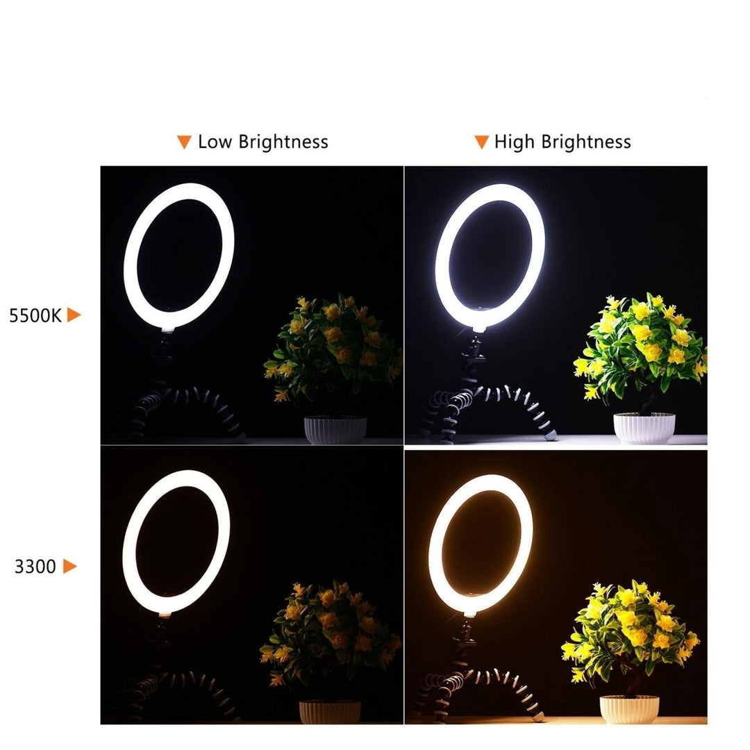 10 Inch,26cm Ring Video Light Kit Image 4