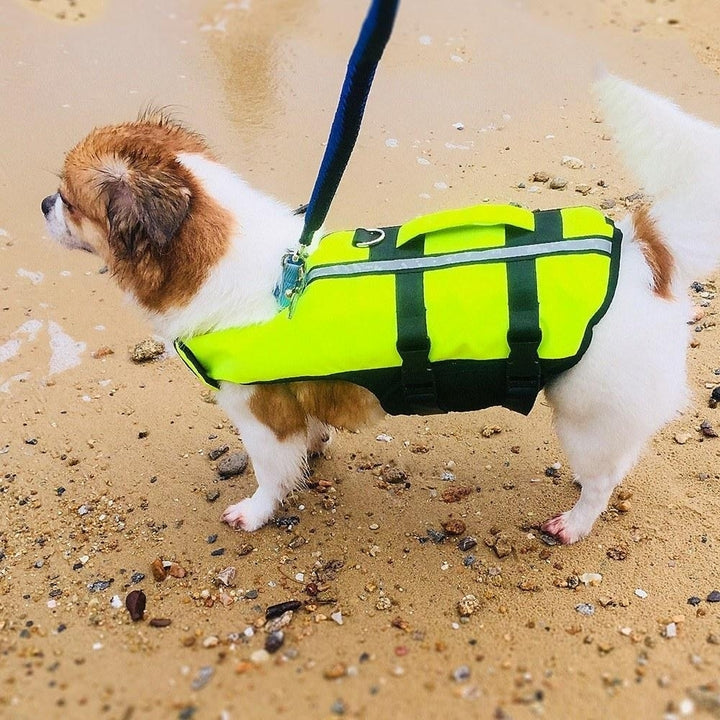 Foldable Dog Life Jacket Inflatable Airbag Pet Life Vest Image 12