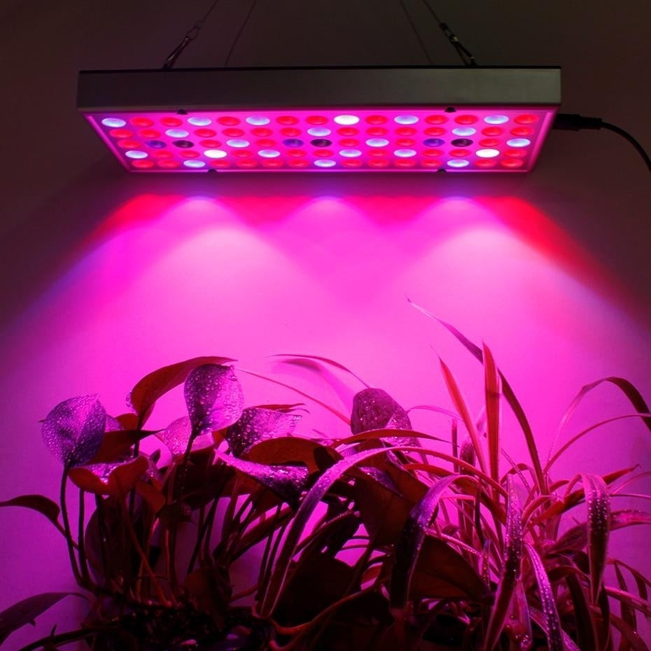 Growing Lamps LED Grow Light Full Spectrum Plant Lighting Fitolampy For Plants Flowers Seedling Cultivation Image 6