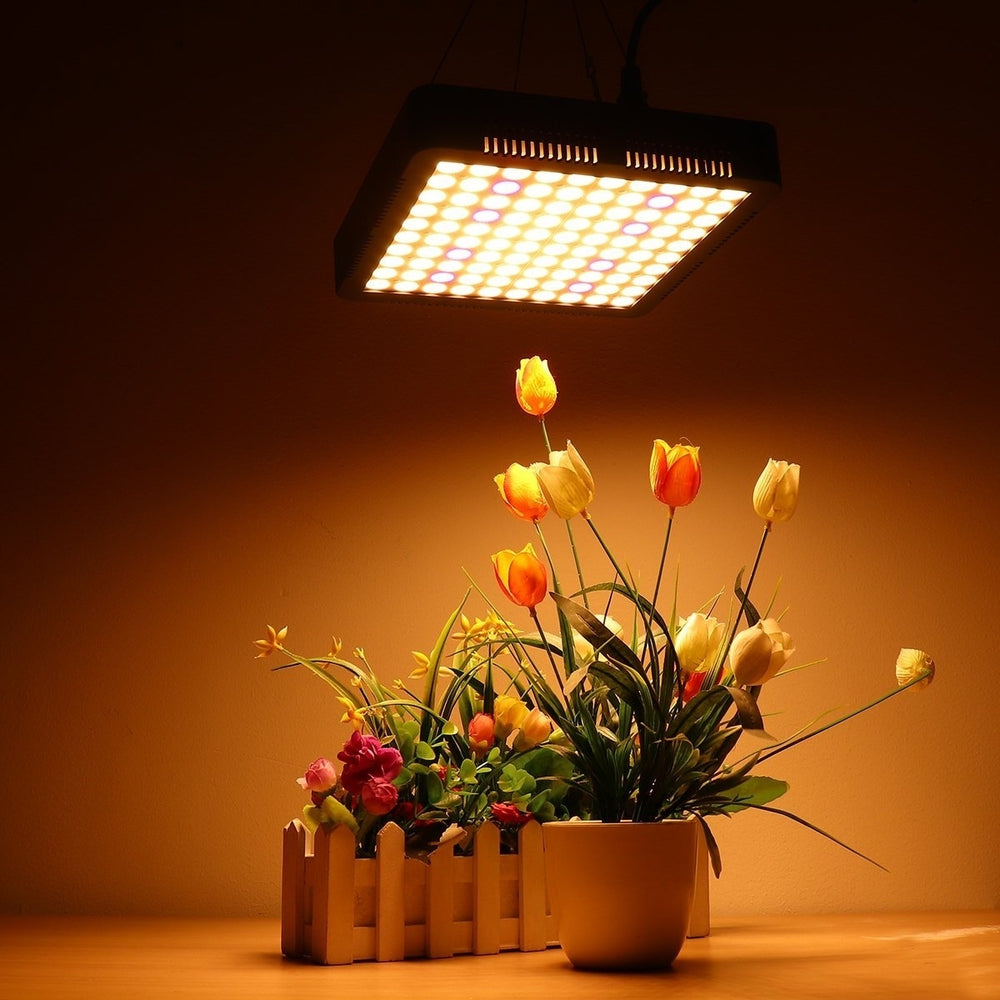 Full Spectrum Grow Light Vegetable Lamp Image 2