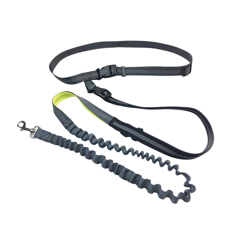 Handsfree Bungee Dog Leash 140cm Image 4