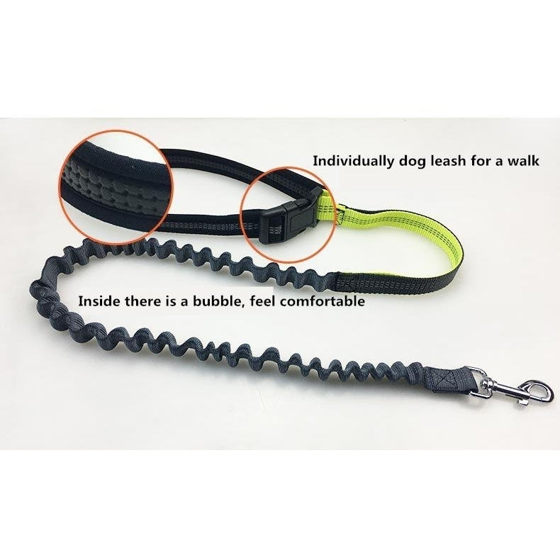 Handsfree Bungee Dog Leash 140cm Image 6