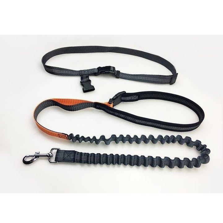 Handsfree Bungee Dog Leash 140cm Image 7