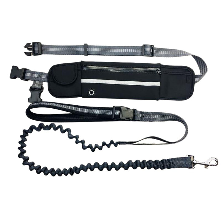 Handsfree Bungee Dog Leash 140cm Image 1