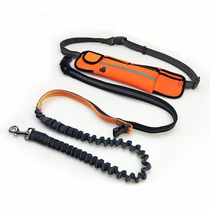 Handsfree Bungee Dog Leash 140cm Image 10