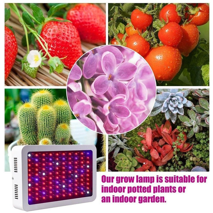 LED Grow Light Bulbs Full Spectrum UV IR Hydroponic Growing Lamp for Greenhouse Seed Starting Image 6