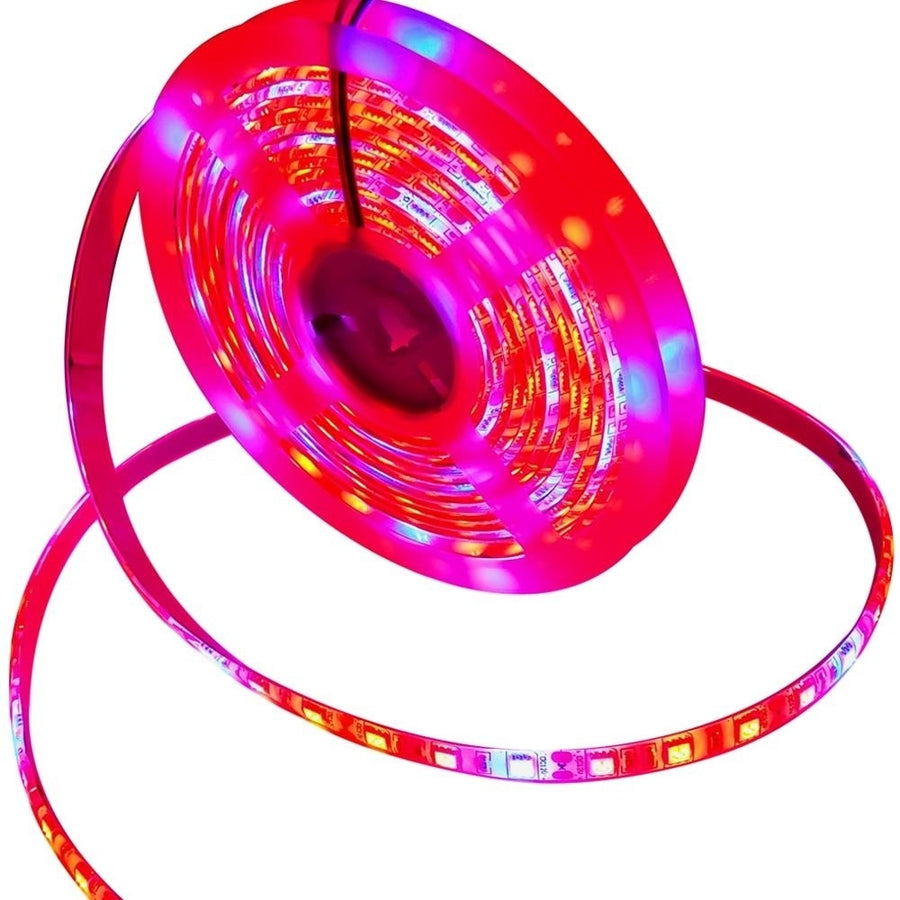 Plant Grow lights 5m Waterproof Full Spectrum LED Strip Flower phyto lamp Red blue 4:1 for Greenhouse Hydroponic Image 1