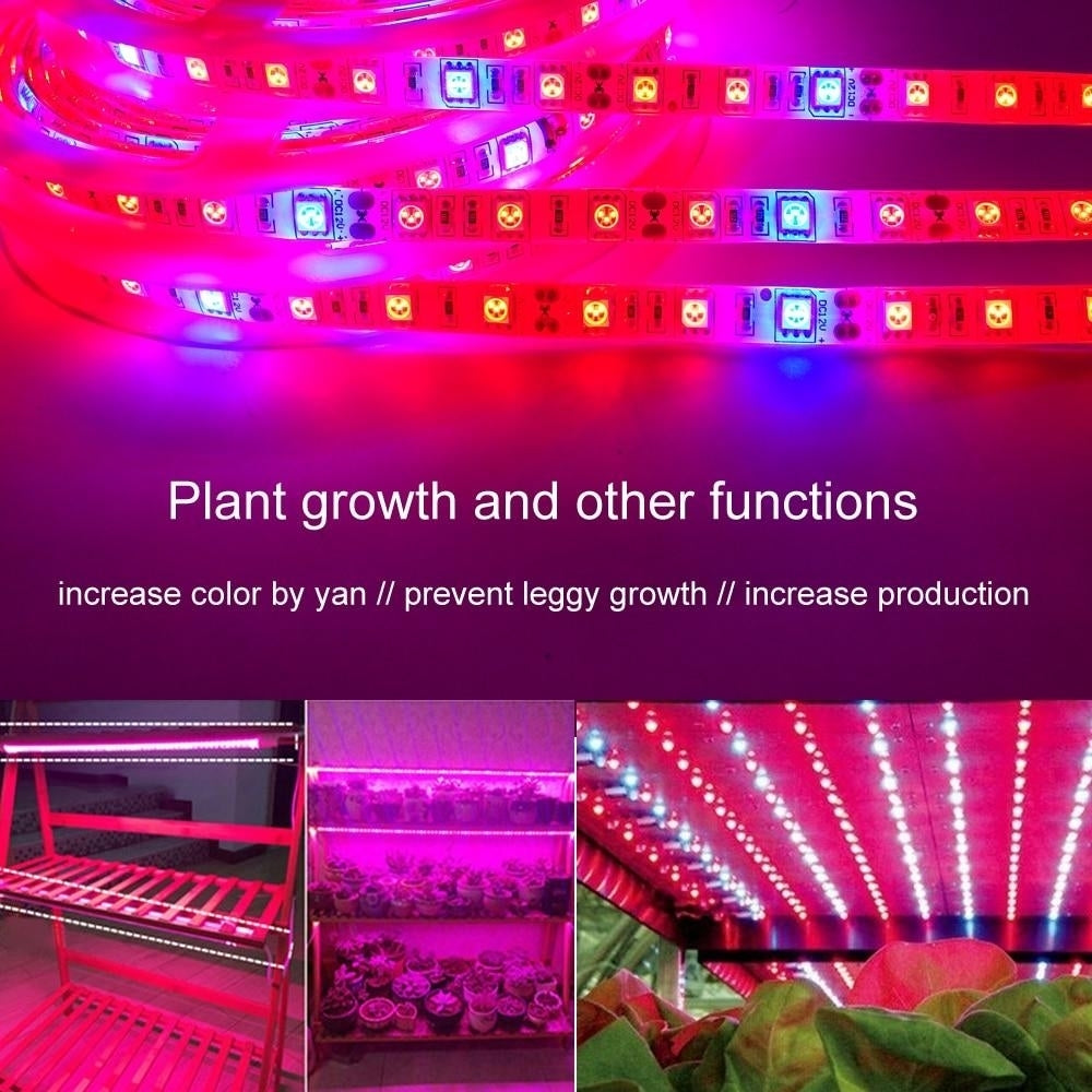 Plant Grow lights 5m Waterproof Full Spectrum LED Strip Flower phyto lamp Red blue 4:1 for Greenhouse Hydroponic Image 9