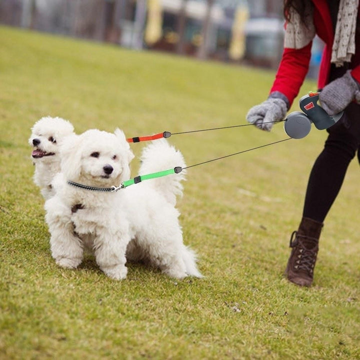 Two Dog Retractable Leash Dual Retractable Leash Image 6