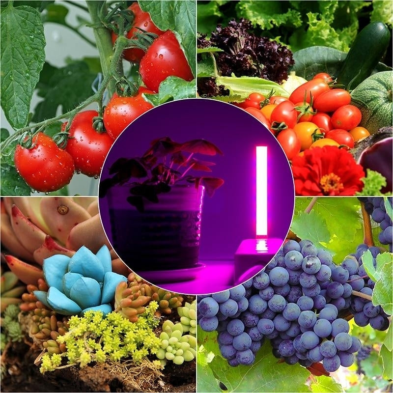 USB LED Grow Light Full Spectrum Vegetable Seedling Plant Lighting IR UV Growing Phyto Lamp Image 4