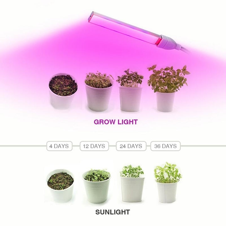 USB LED Grow Light Full Spectrum Vegetable Seedling Plant Lighting IR UV Growing Phyto Lamp Image 5