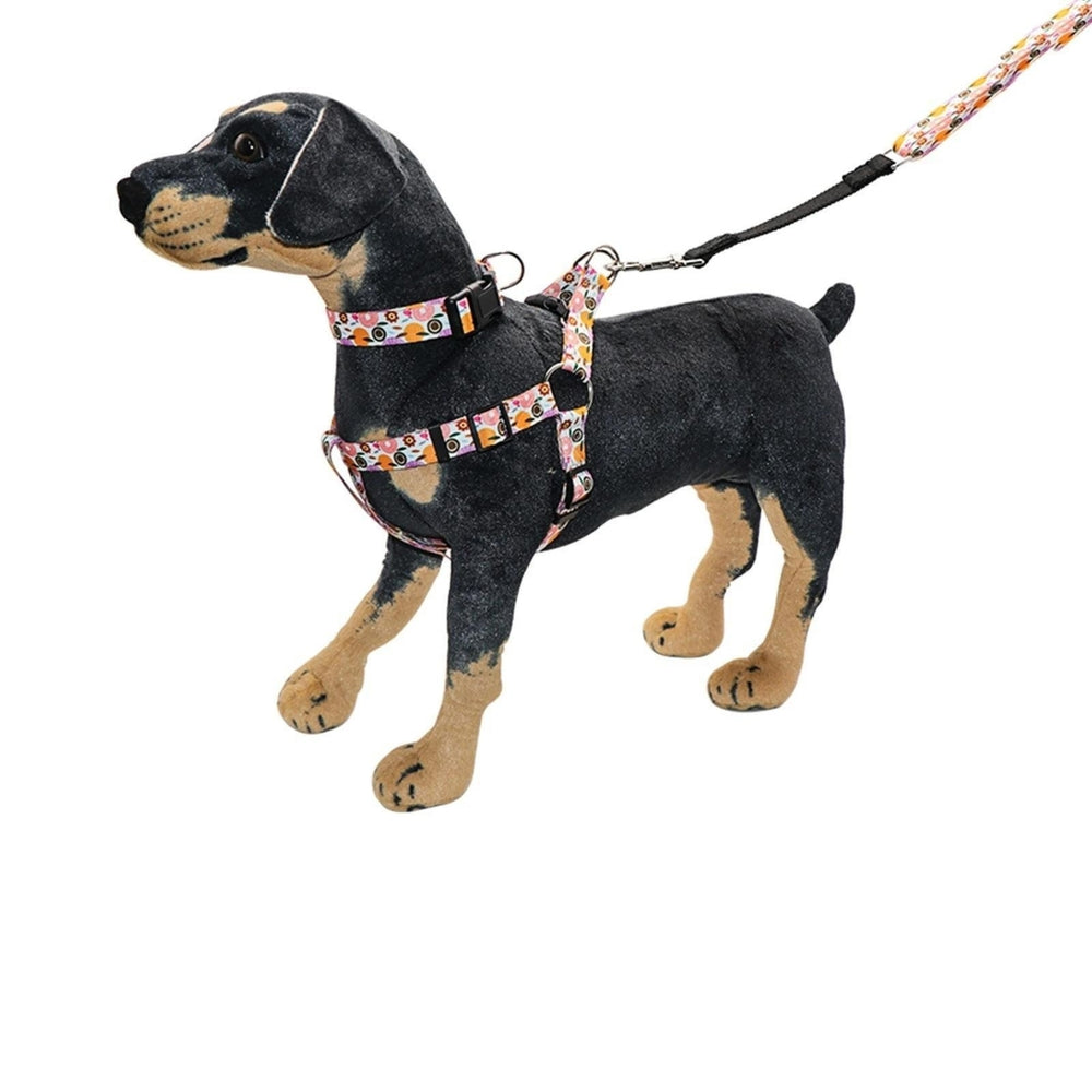 Dog Pulling Rope Chest Collar Three-Piece Leash Buffer Retractable Reflective Traction Belt Image 2