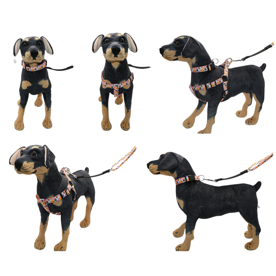 Dog Pulling Rope Chest Collar Three-Piece Leash Buffer Retractable Reflective Traction Belt Image 5