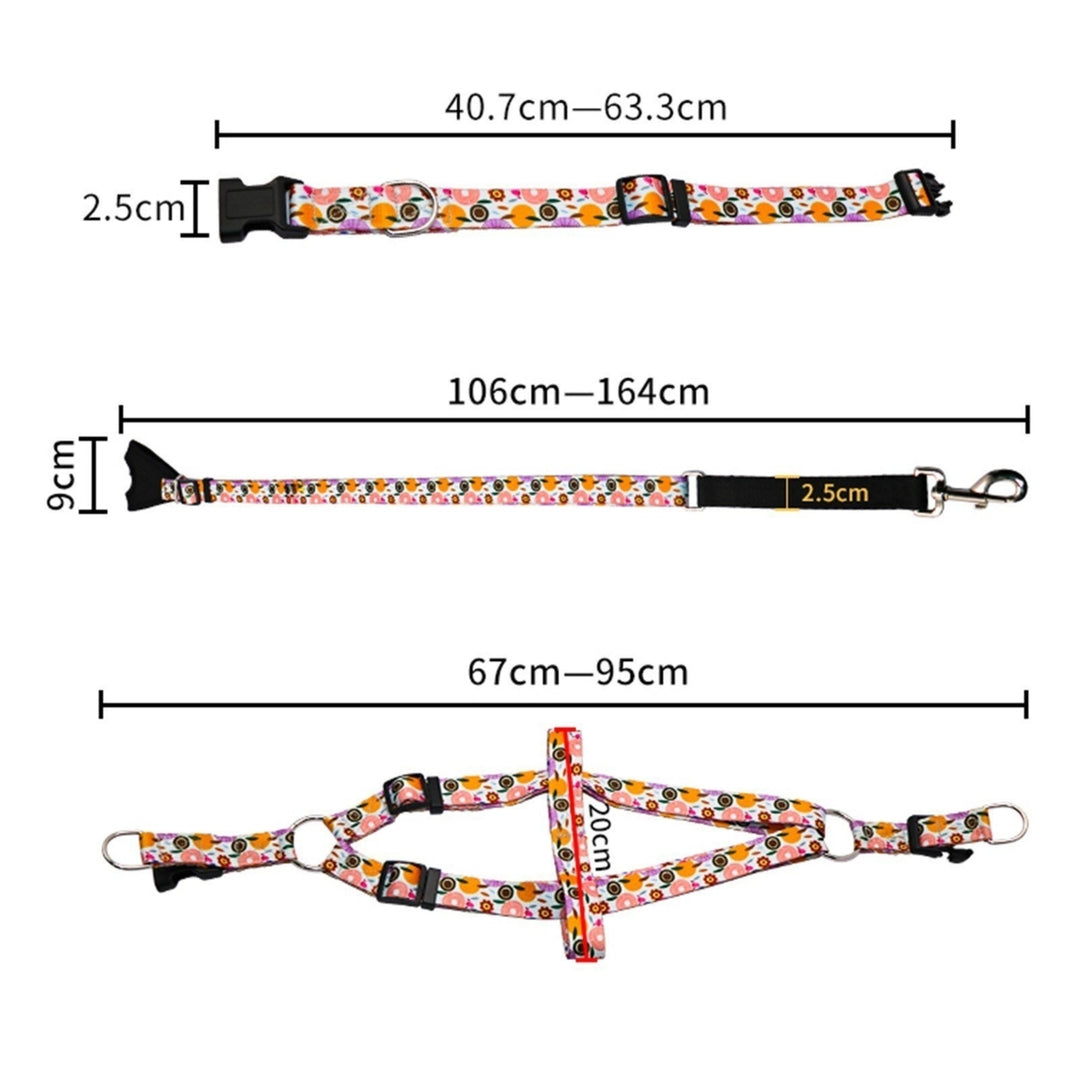 Dog Pulling Rope Chest Collar Three-Piece Leash Buffer Retractable Reflective Traction Belt Image 6