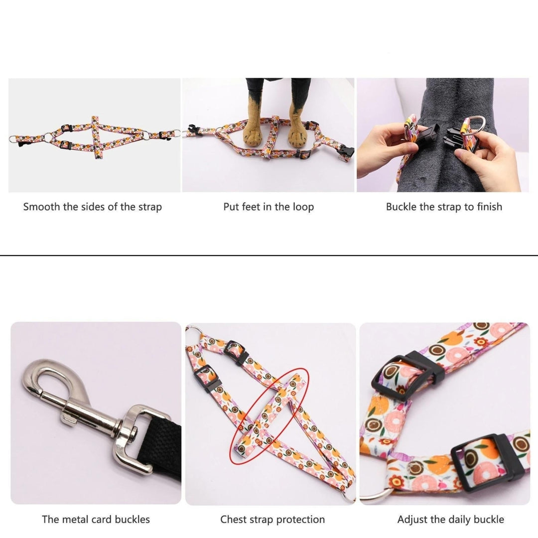 Dog Pulling Rope Chest Collar Three-Piece Leash Buffer Retractable Reflective Traction Belt Image 7