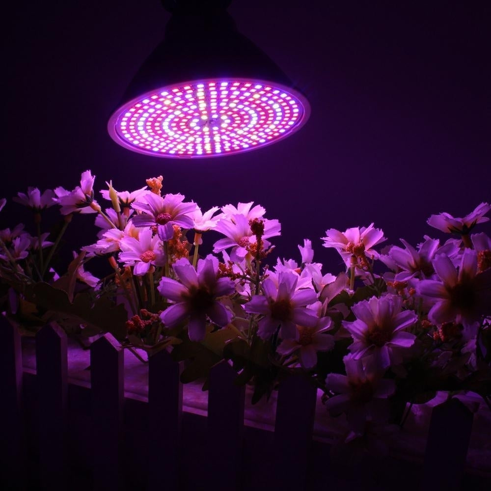 E27 Bulb Full Spectrum Indoor Plant Growing Lamp Hydroponic System for Seeds Image 5