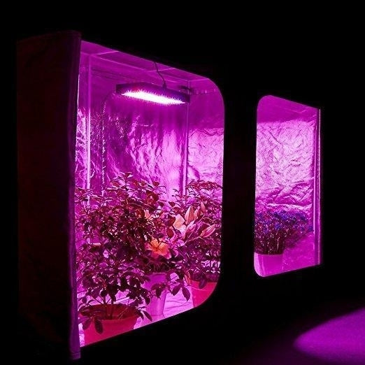 Full Spectrum Double Chips LED Grow Light for Greenhouse Hydroponic Indoor Plants 1200W Image 4