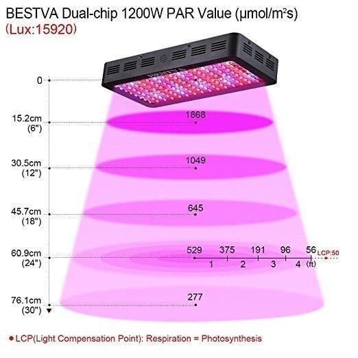 Full Spectrum Double Chips LED Grow Light for Greenhouse Hydroponic Indoor Plants 1200W Image 7