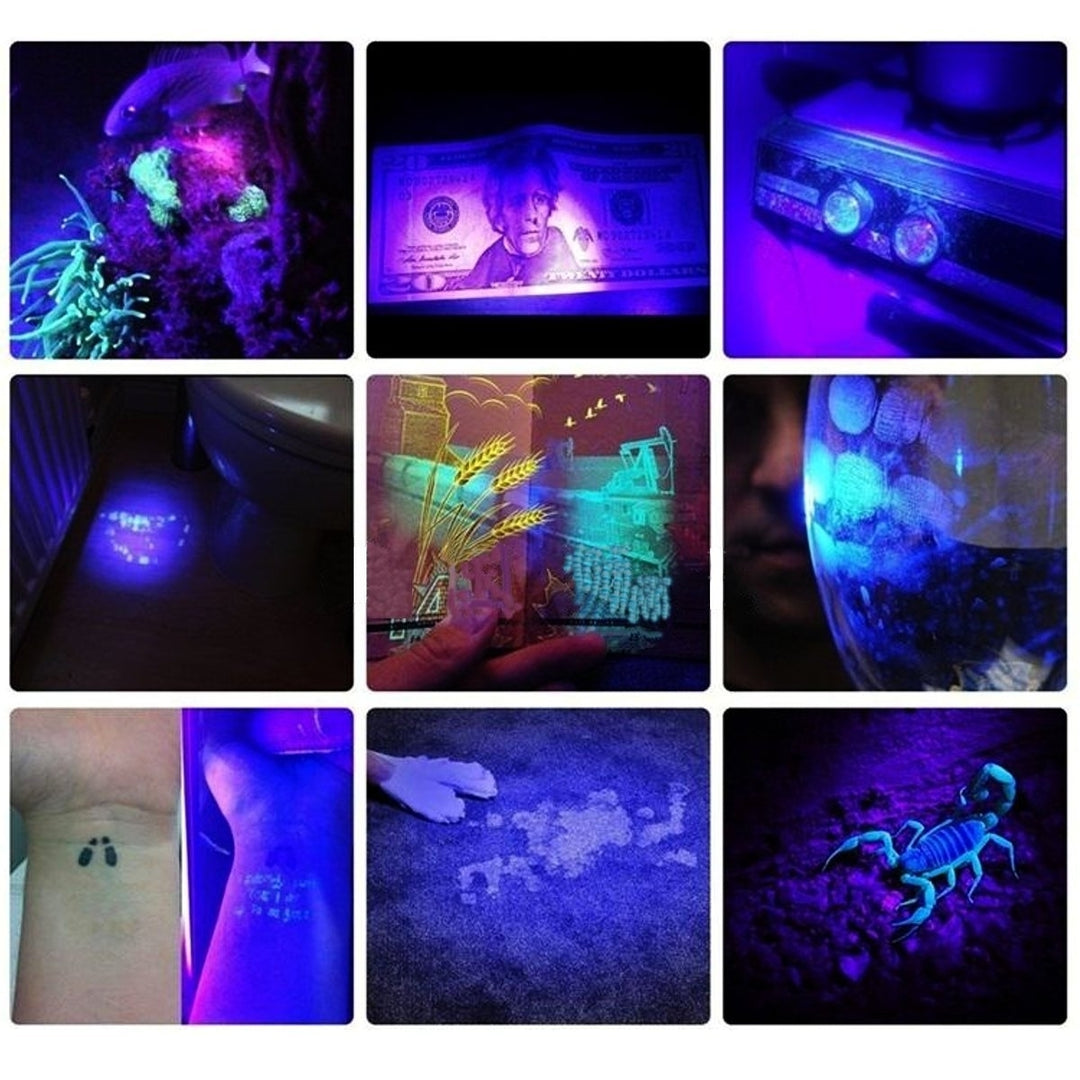 LED UV Scorpion Detector Hunter Finder Flashlight Image 4