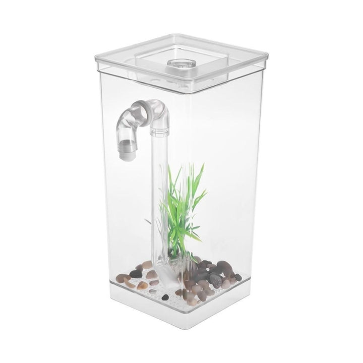 Self Cleaning Small Desk Fish Tank Bowl for Office Home Creative Gifts for Children Image 3