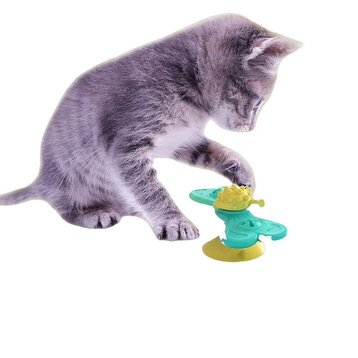 Windmill Interactive Cat Toy Turntable Molar Image 5